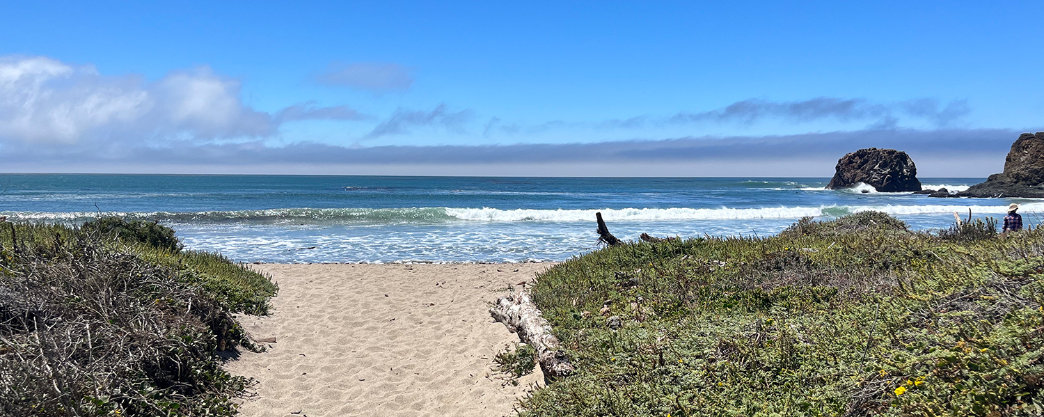 A beach at Andrew Molera State Park.
