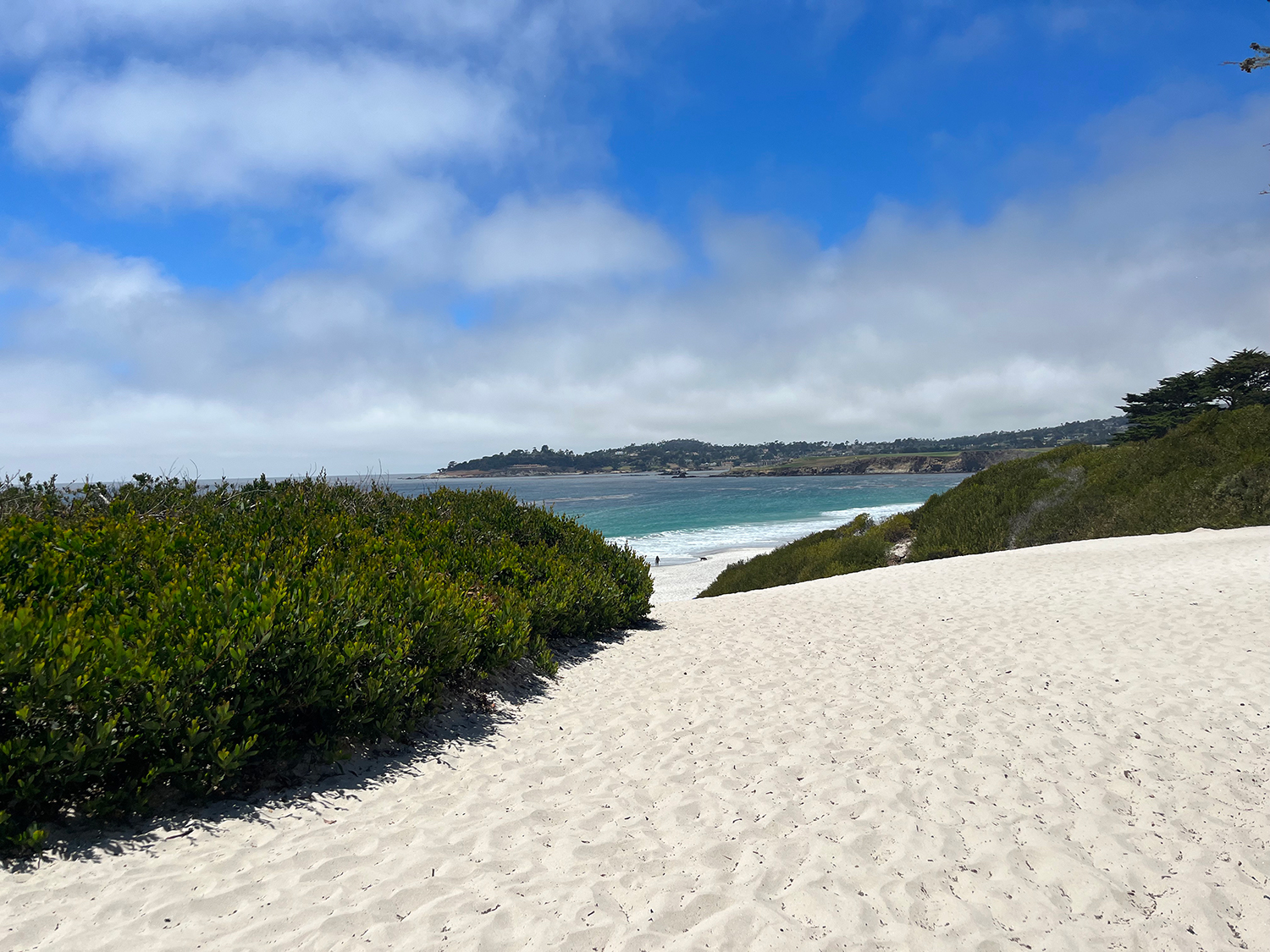 Beach at Carmel by the Sea.