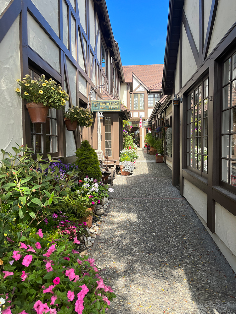City view at Carmel by the Sea.