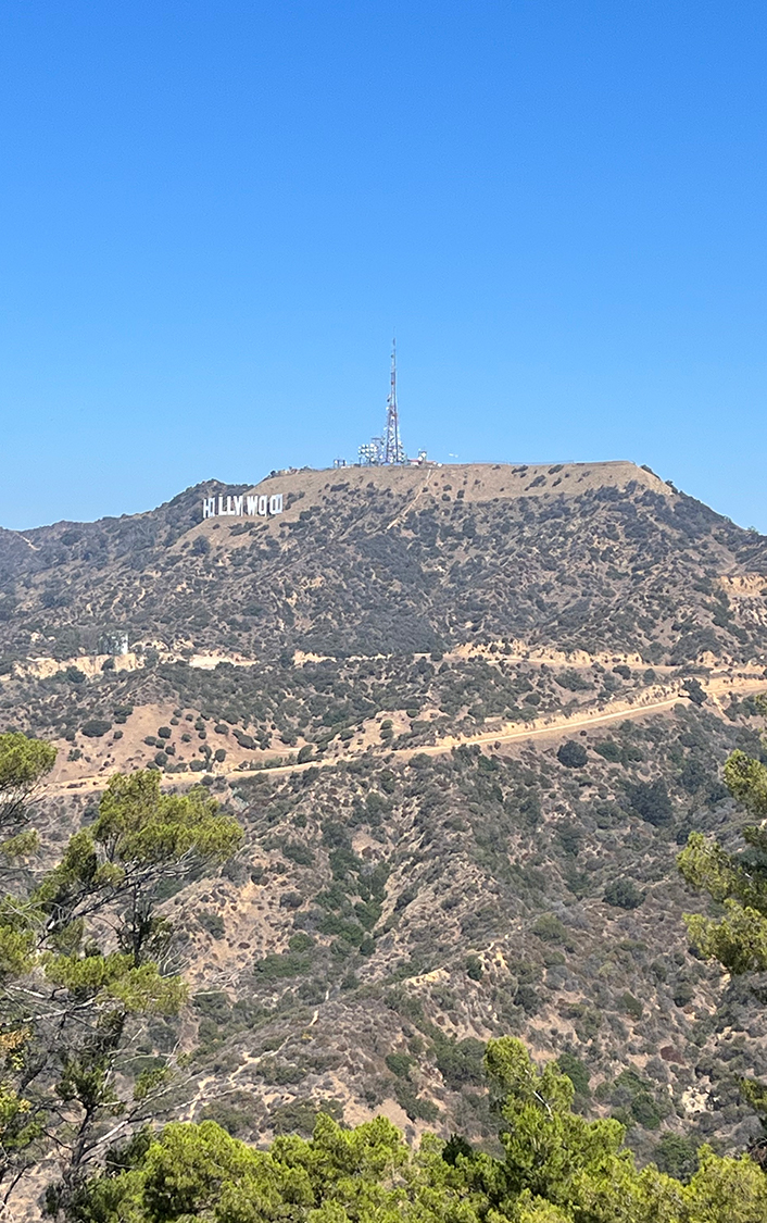 The concert at the Hollywood Bowl.