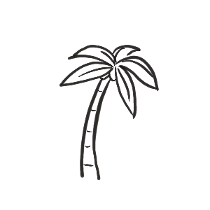 A palm tree.