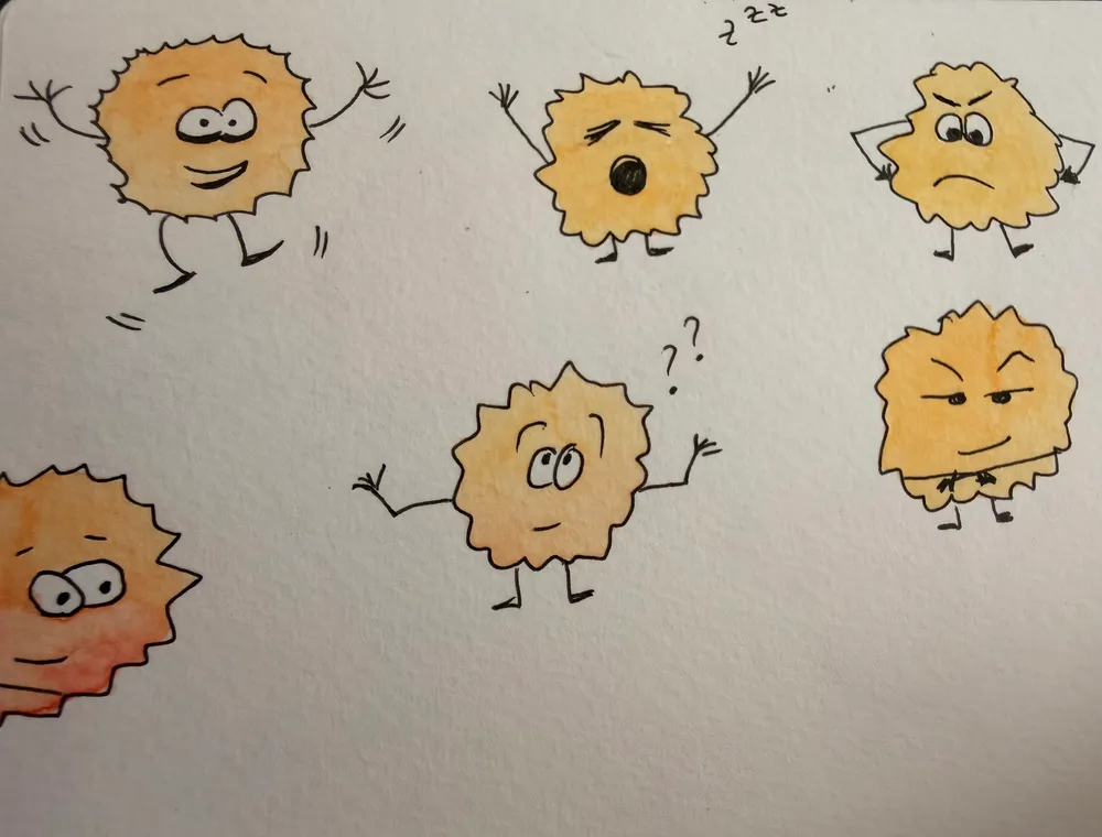 A bunch of fluffy creatures